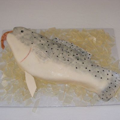 Speckled Trout