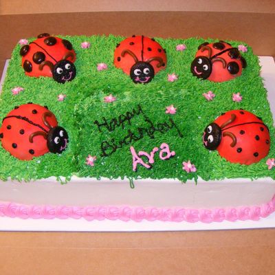 Lady Bug Cake