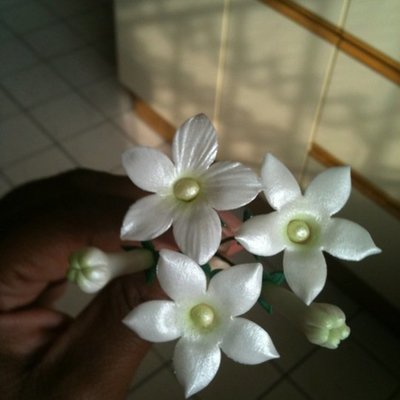 1St Gumpaste Stephanotis