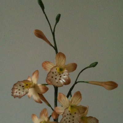 1St Gumpaste Mini Orchids