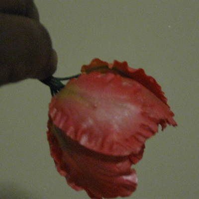 My First Gumpaste Parrot Tulips
