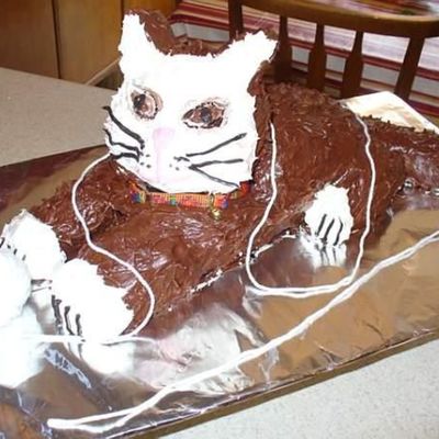 3D Cat