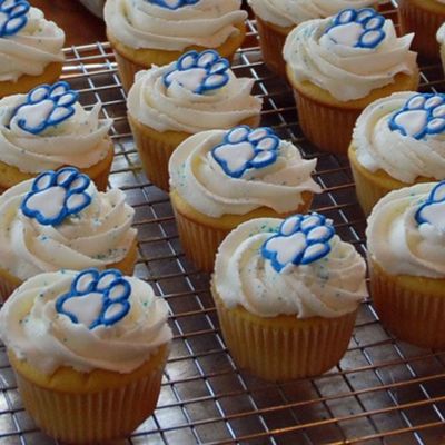 Bobcat Cupcakes