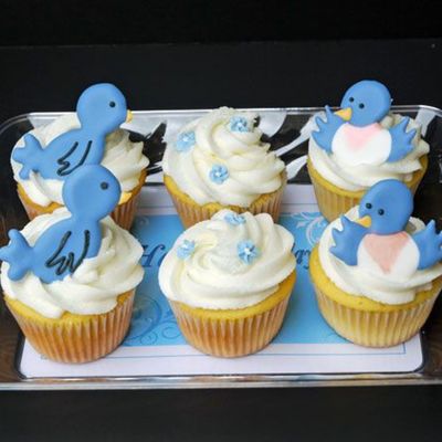 Bluebird Cupcakes