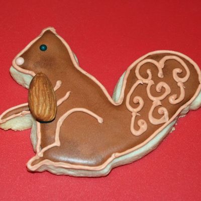Squirrel