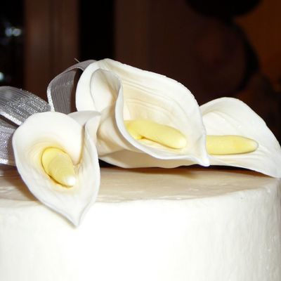 Gumpaste Topper With Lace