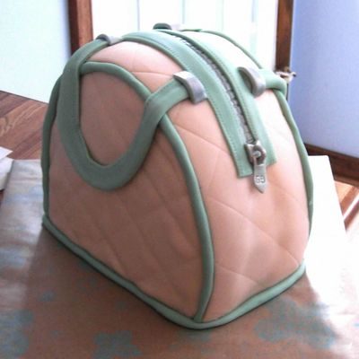 Purse Cake