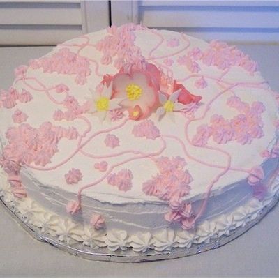 Buttercream Cheesecake