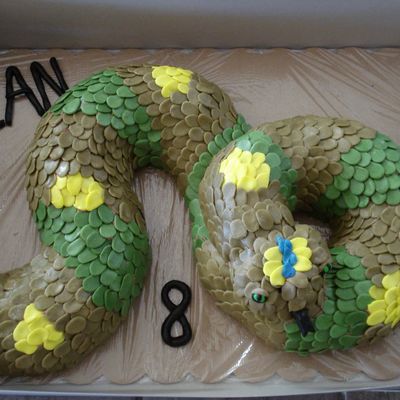 Ian's Snake