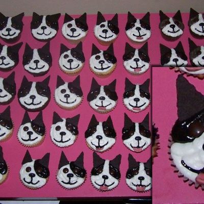 Boston Terrier Cupcakes