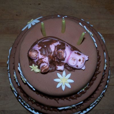 Pig Topper For Chocolate Daisy Cake