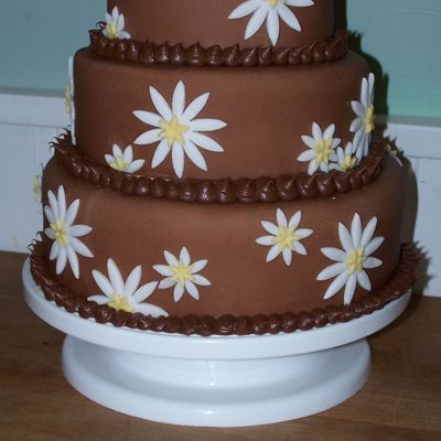 Chocolate Daisy Cake
