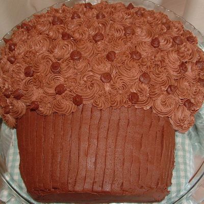 Chocolate Cupcake Cake