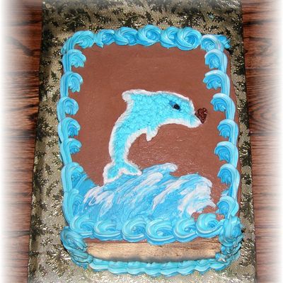 Dolphin Play