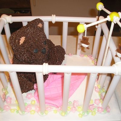 Bear In Crib