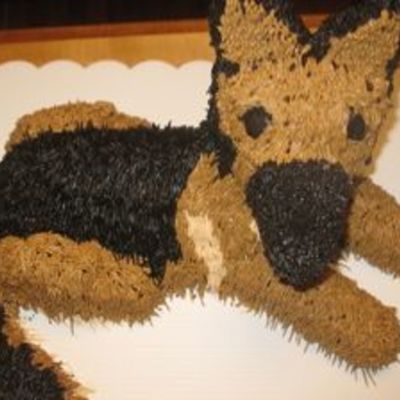 German Sheperd