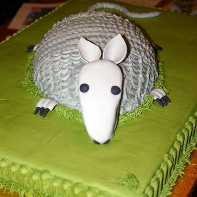 Armadillo Groom's Cake