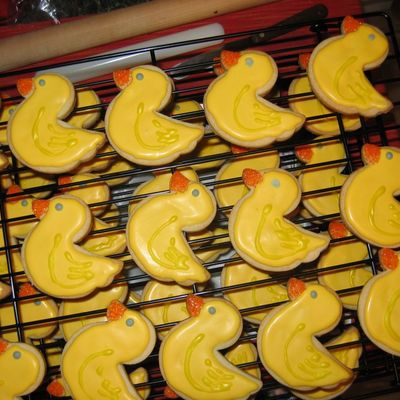 Regular No Fail Ducks