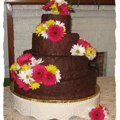 Chocolate Heaven W/fresh Daisies