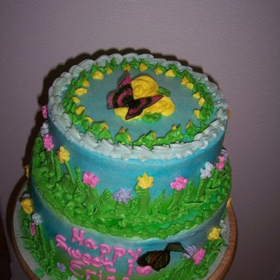 Butterfly Cake