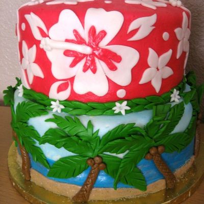 Megan's Cake 2008