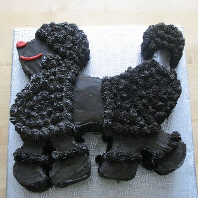 Black Poodle