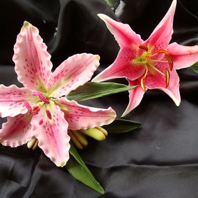 Pink Tiger Lily