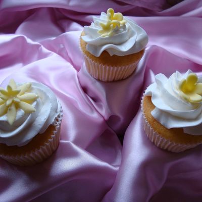 Wasc Challenge Cupcakes