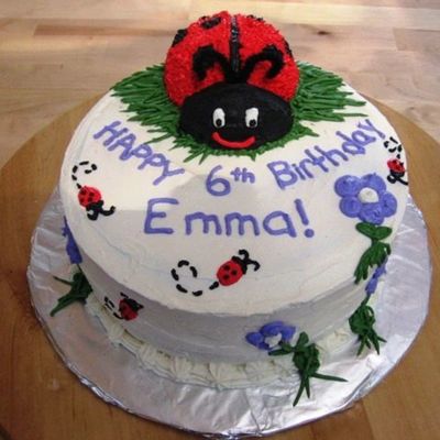Ladybug Birthday