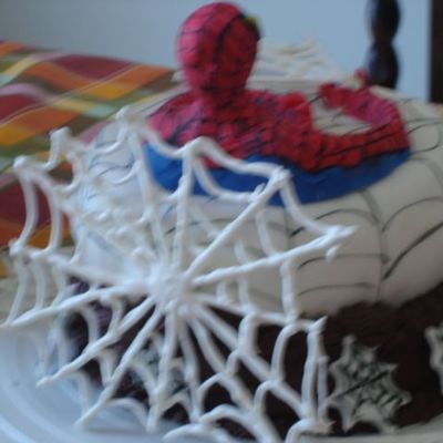 Spiderman Cake Back View