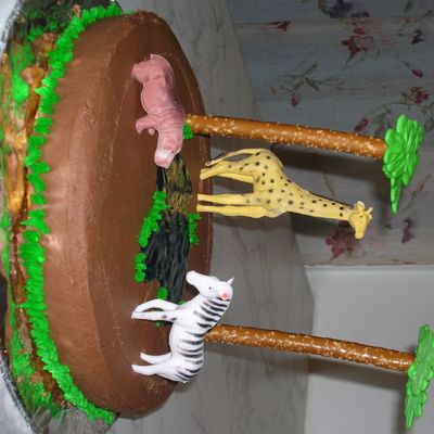 Jungle Cake