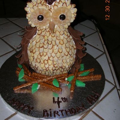 Abi's Owl