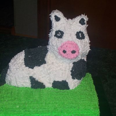 Cow Laying On Grass