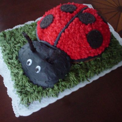 Ladybug Cake