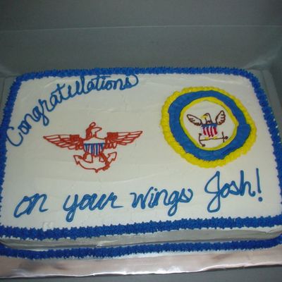Navy Wings Cake