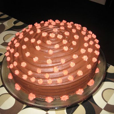 Another Chocolate Cake