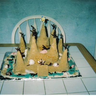 Castle Cake