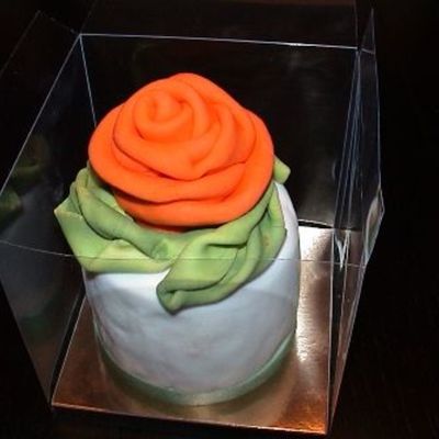 Orange Rose