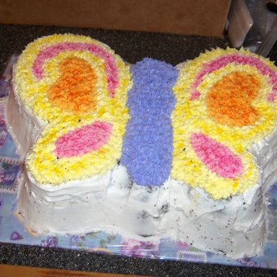 Butterfly Cake 1