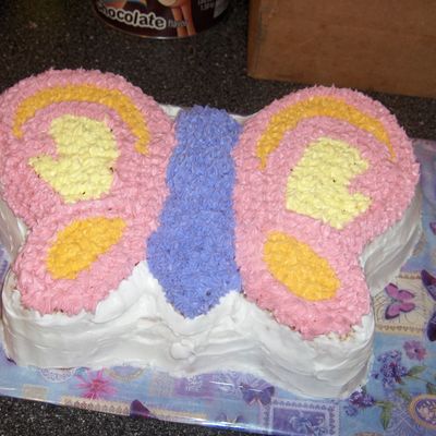 Butterfly Cake 2