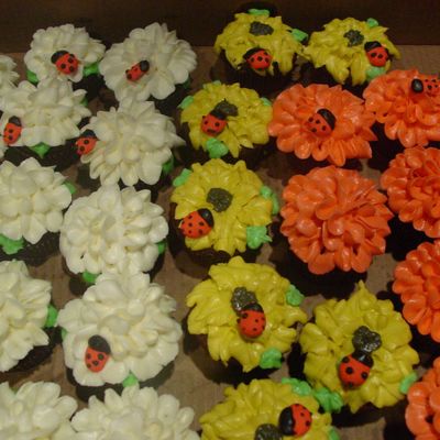 Flower/ladybug Cupcakes