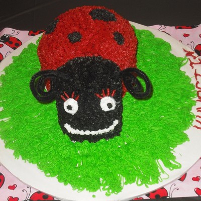 Lady Bug Cake