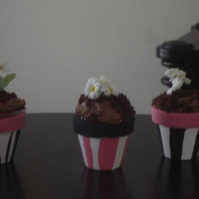 Mini Flower Pot Cupcakes