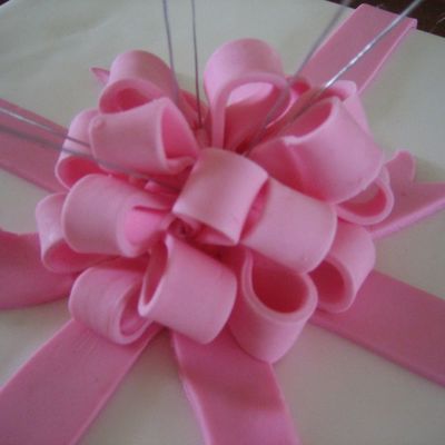 Close Up Of Loop Bow