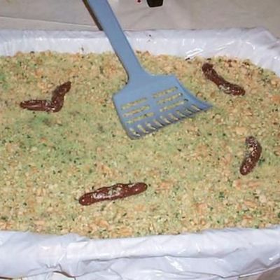 Cat Litter Cake
