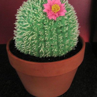Copy Of Colette Peters Cactus Cake