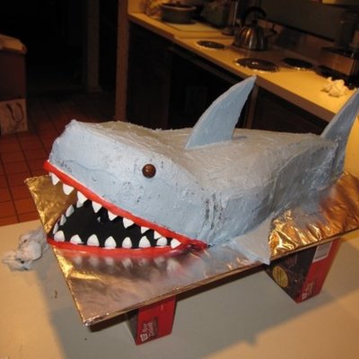 Shark Birthday