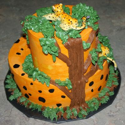 Cheetah Cake - Back Of Cake