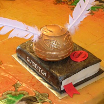 Golden Snitch On Quidditch Through The Ages Book