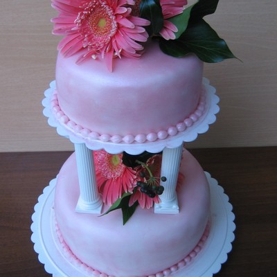 Two Tiered Pink Cake